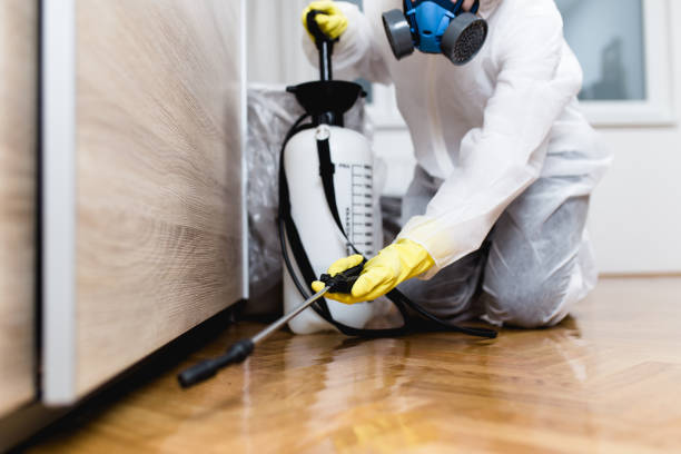 Best Residential Pest Control  in Hammond, LA