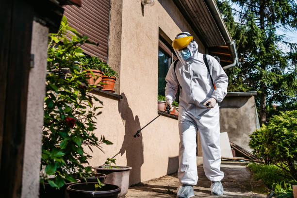 Best Exterminator Services  in Hammond, LA