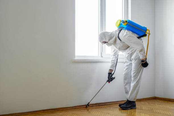 Best Best Pest Control Companies  in Hammond, LA