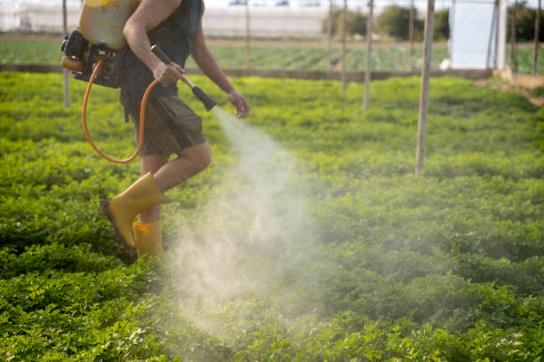 Best Pest Control for Businesses  in Hammond, LA