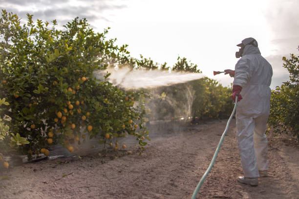 Best Best Pest Control Companies  in Hammond, LA