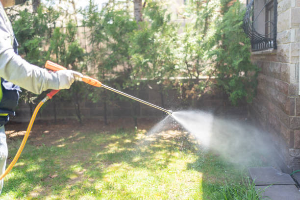 Best Pest Prevention Services  in Hammond, LA