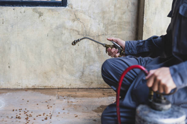 Professional Pest Control in Hammond, LA